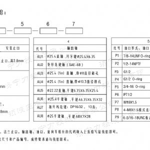 BM1系列（美標(biāo)）馬達(dá)