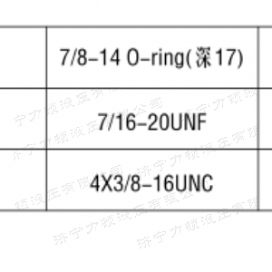 BM1車(chē)輪馬達(dá)