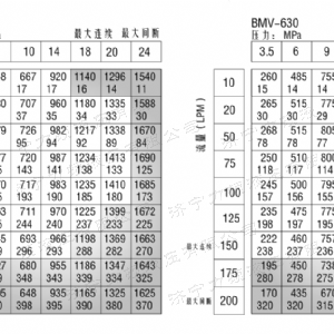 BMV車輪系列馬達