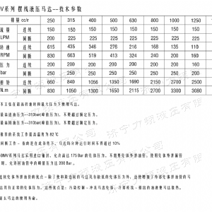 BMV無軸承系列馬達