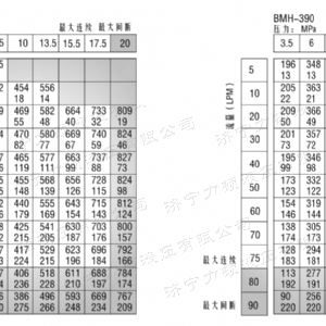 BMH系列交錯(cuò)油口液壓馬達(dá)